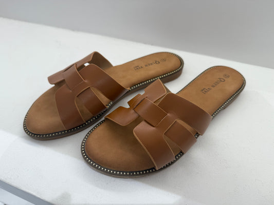Mules camel